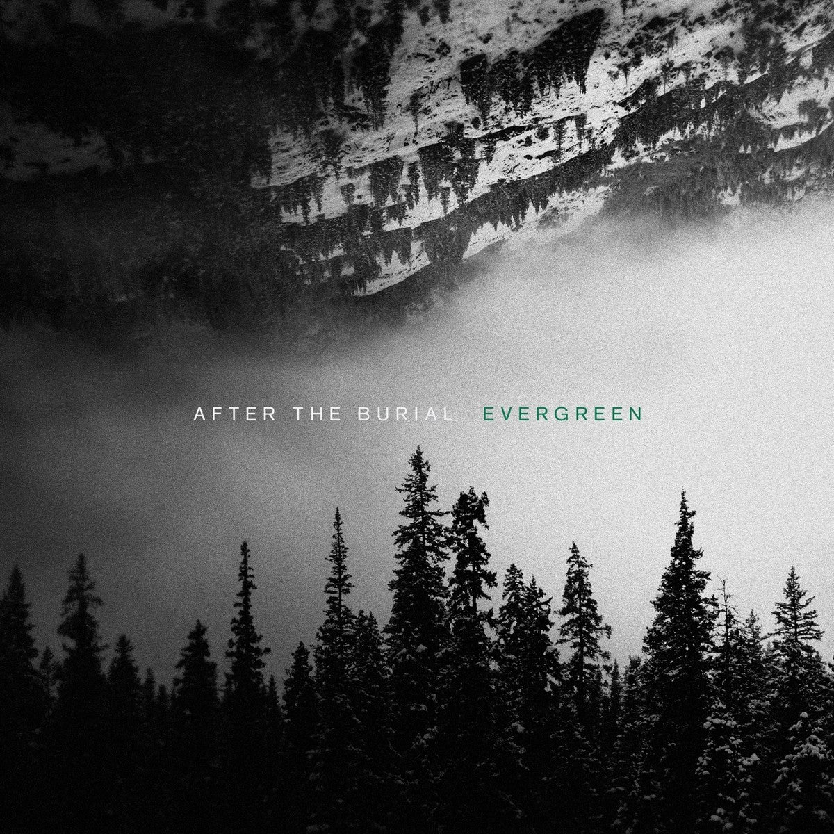 EVERGREEN (LP)
