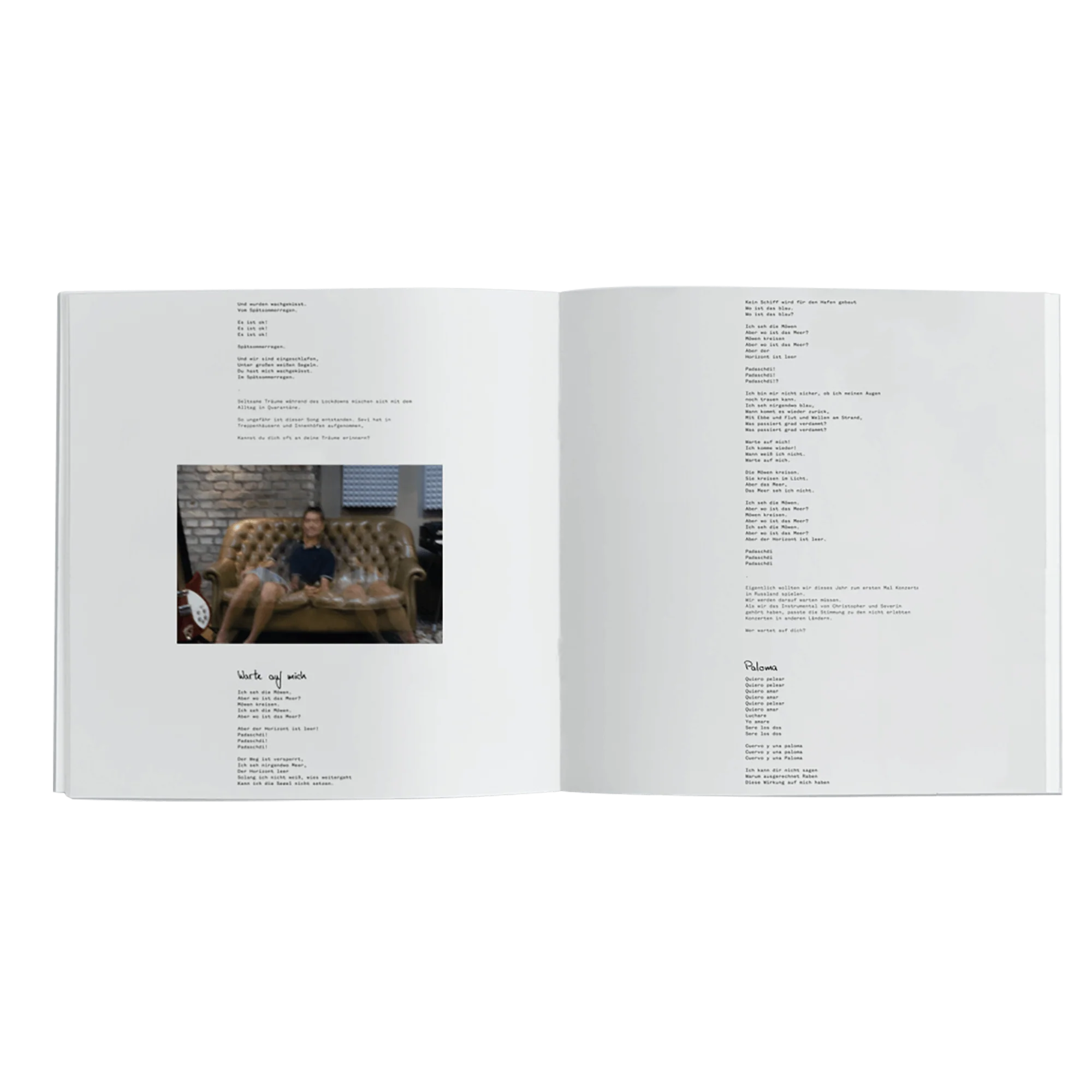 12 (Ltd. Deluxe LP inkl. CD) - Image 3