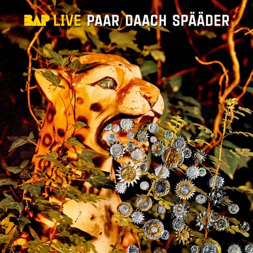 Paar Daach spääder - Image 2