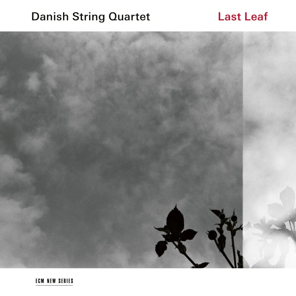 Last Leaf - Image 2