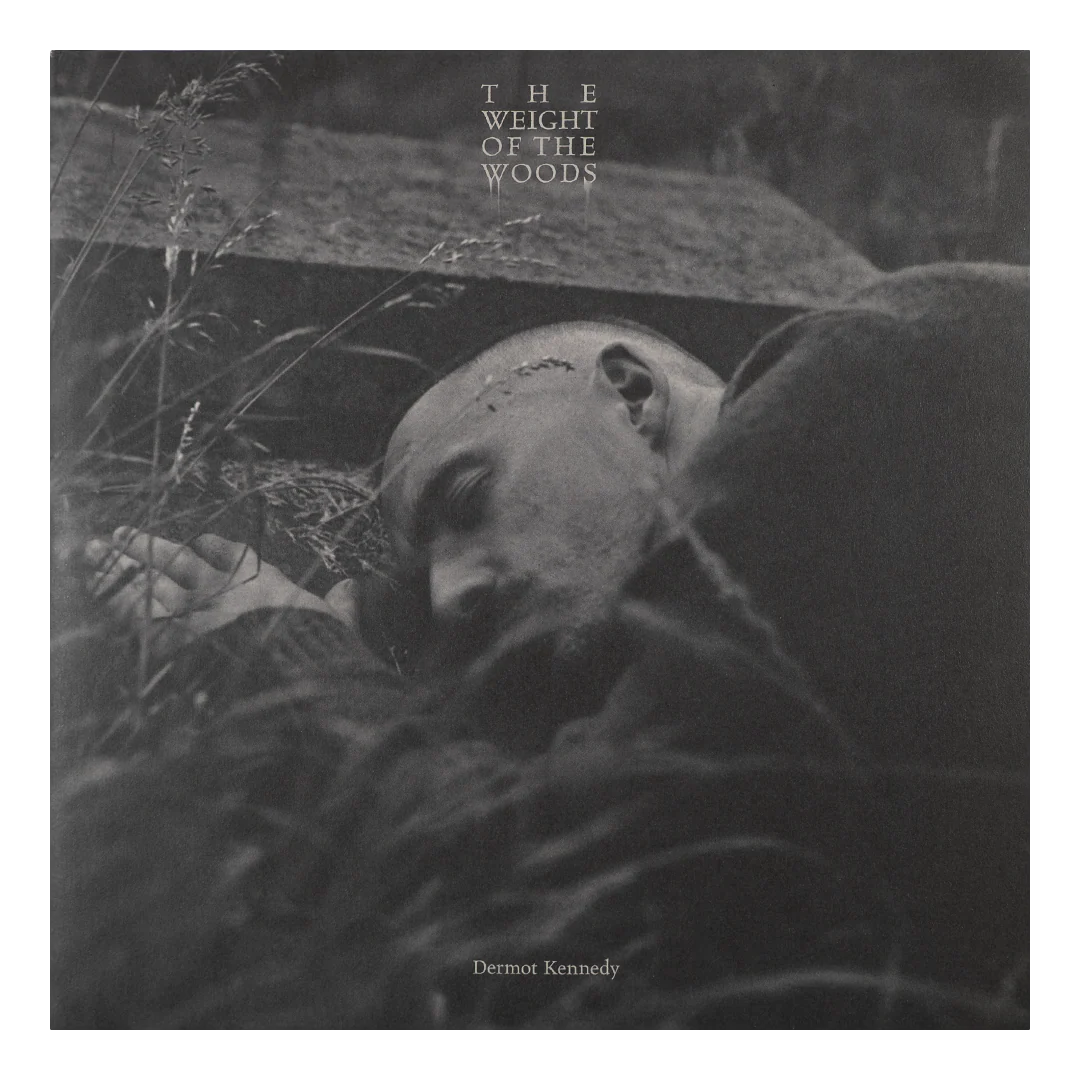 The Weight of the Woods - - Image 6