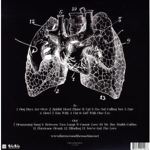 Lungs - Image 2