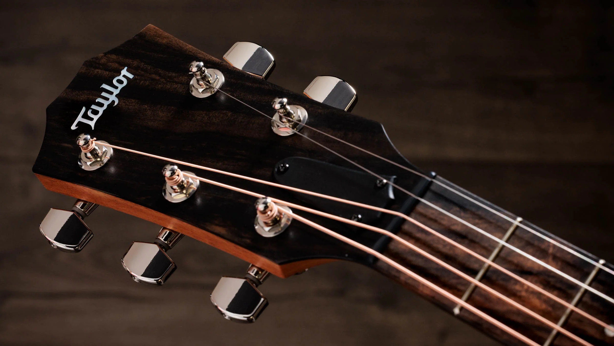 Jacob Collier Academy 22e 5-String - Image 13