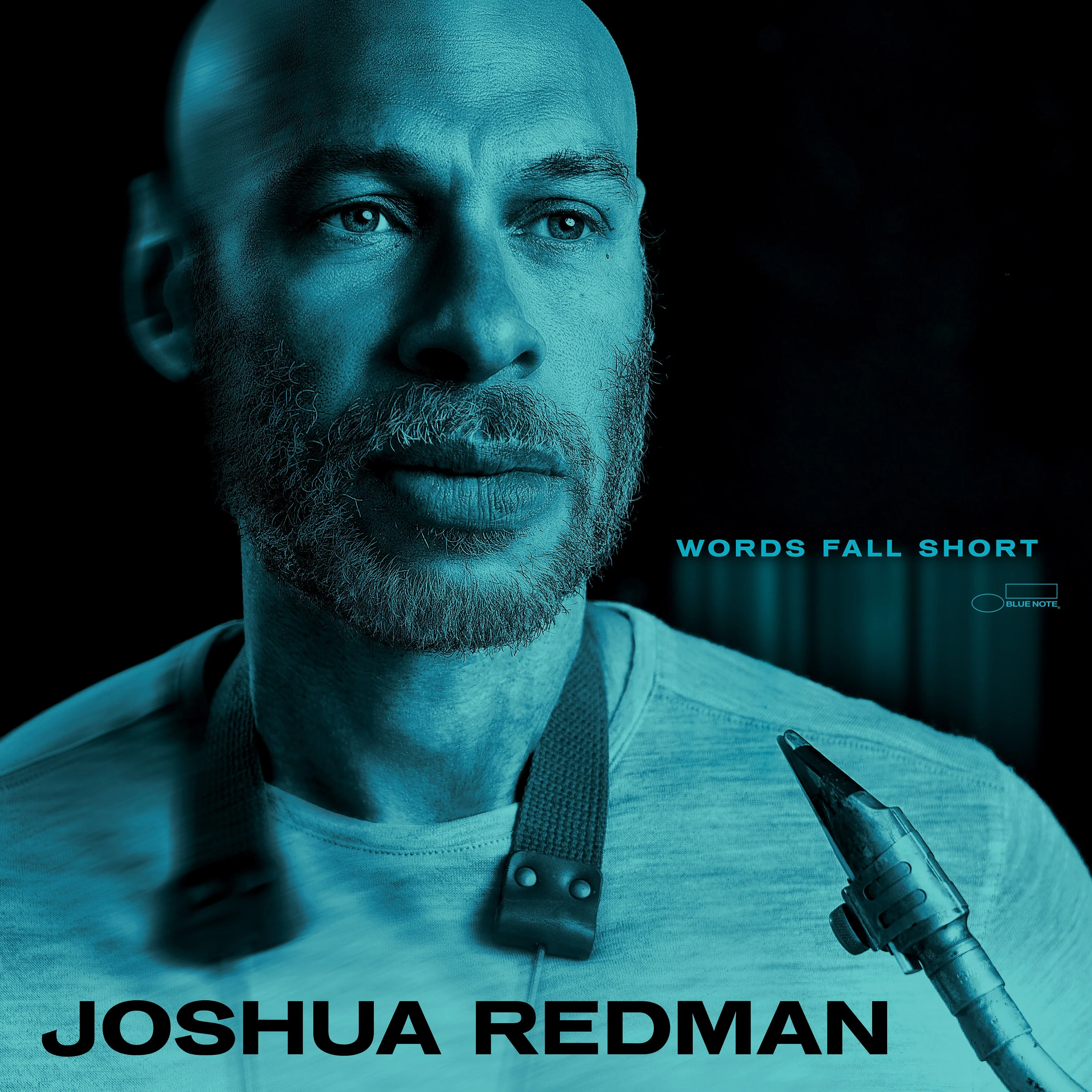 Words Fall Short - Image 2