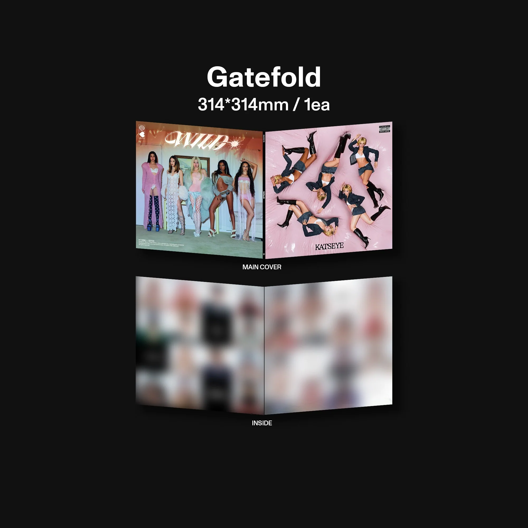 WILD - Official Store Exclusive Vinyl + Signed Artcard - Image 5