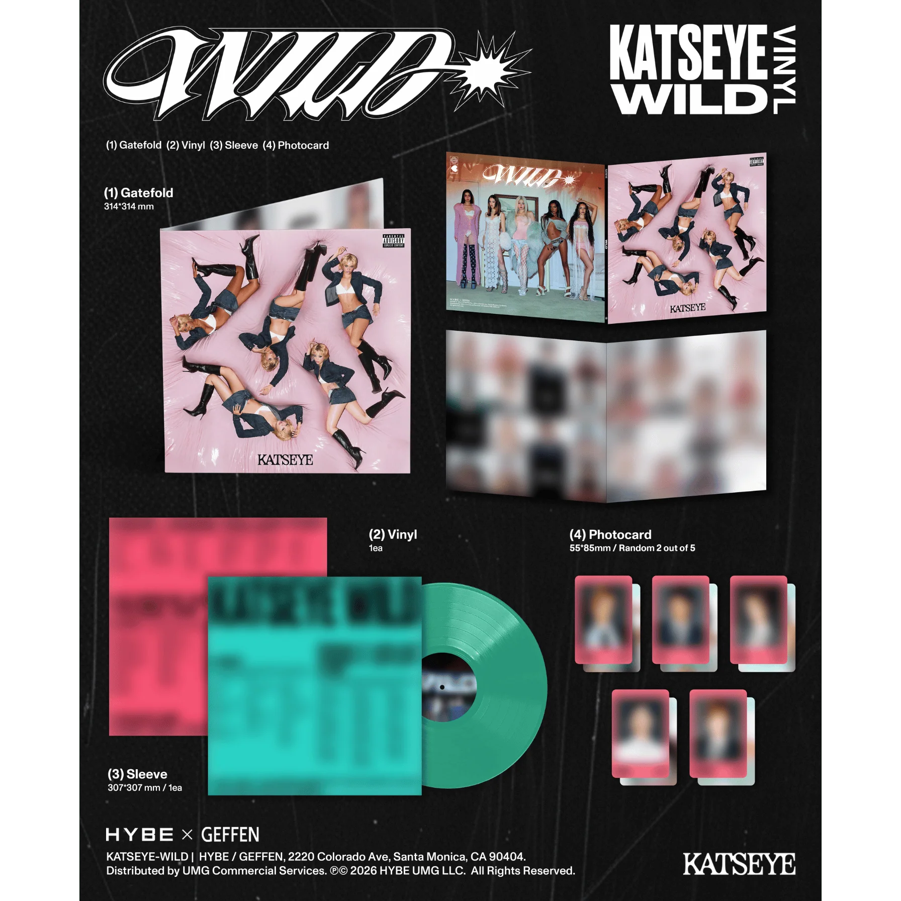 WILD Vinyl - Standard Edition + Signed Artcard - Image 3