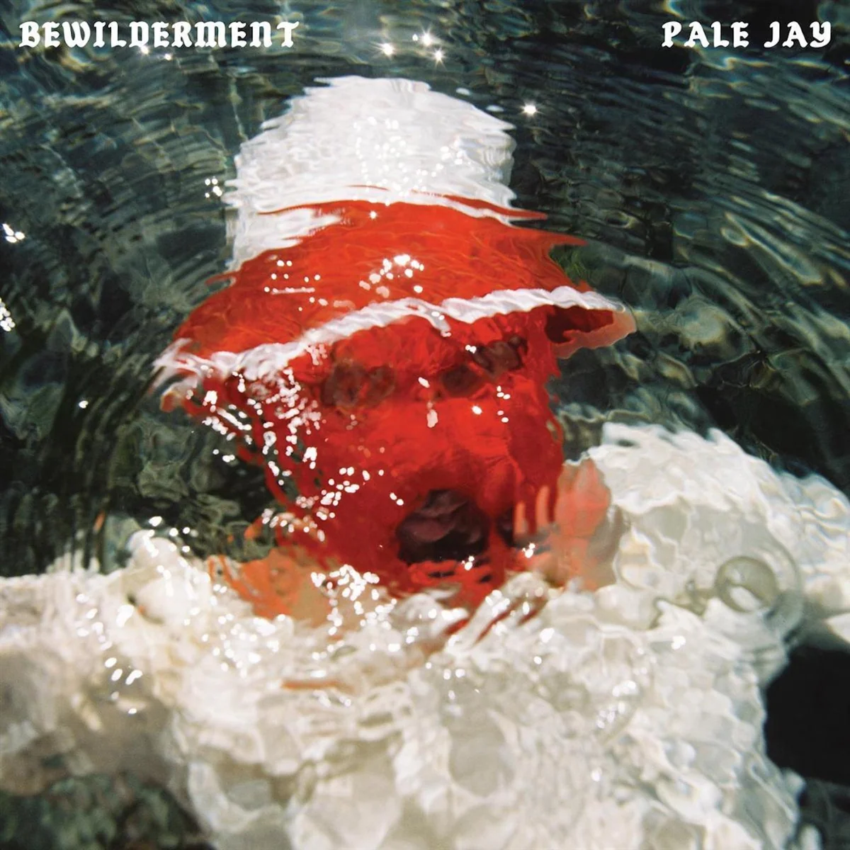 Bewilderment (Seafoam Green Vinyl) - Image 3