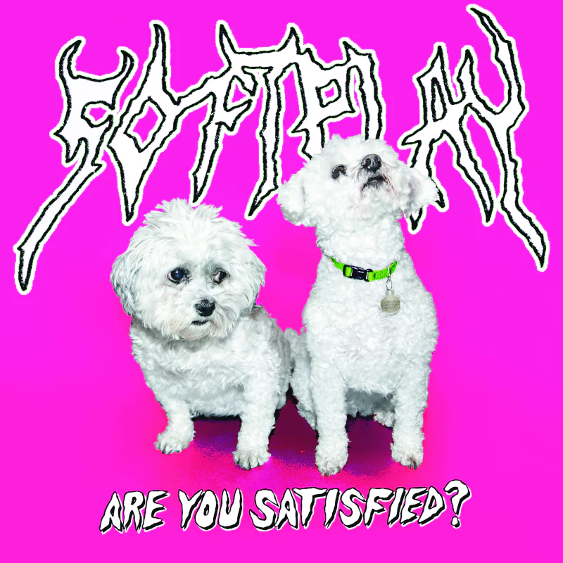 Are You Satisfied? - Image 2