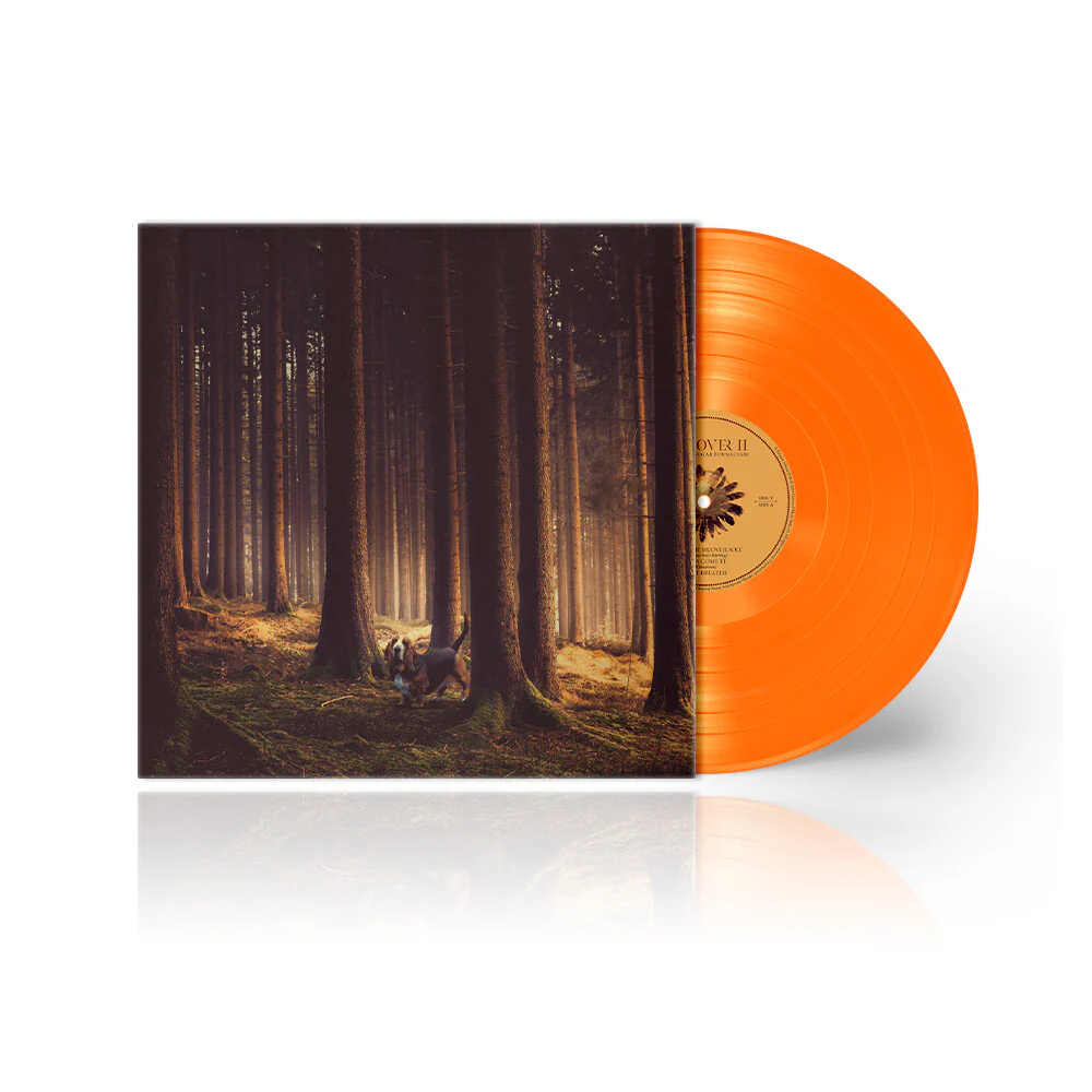 Discover II - Image 3